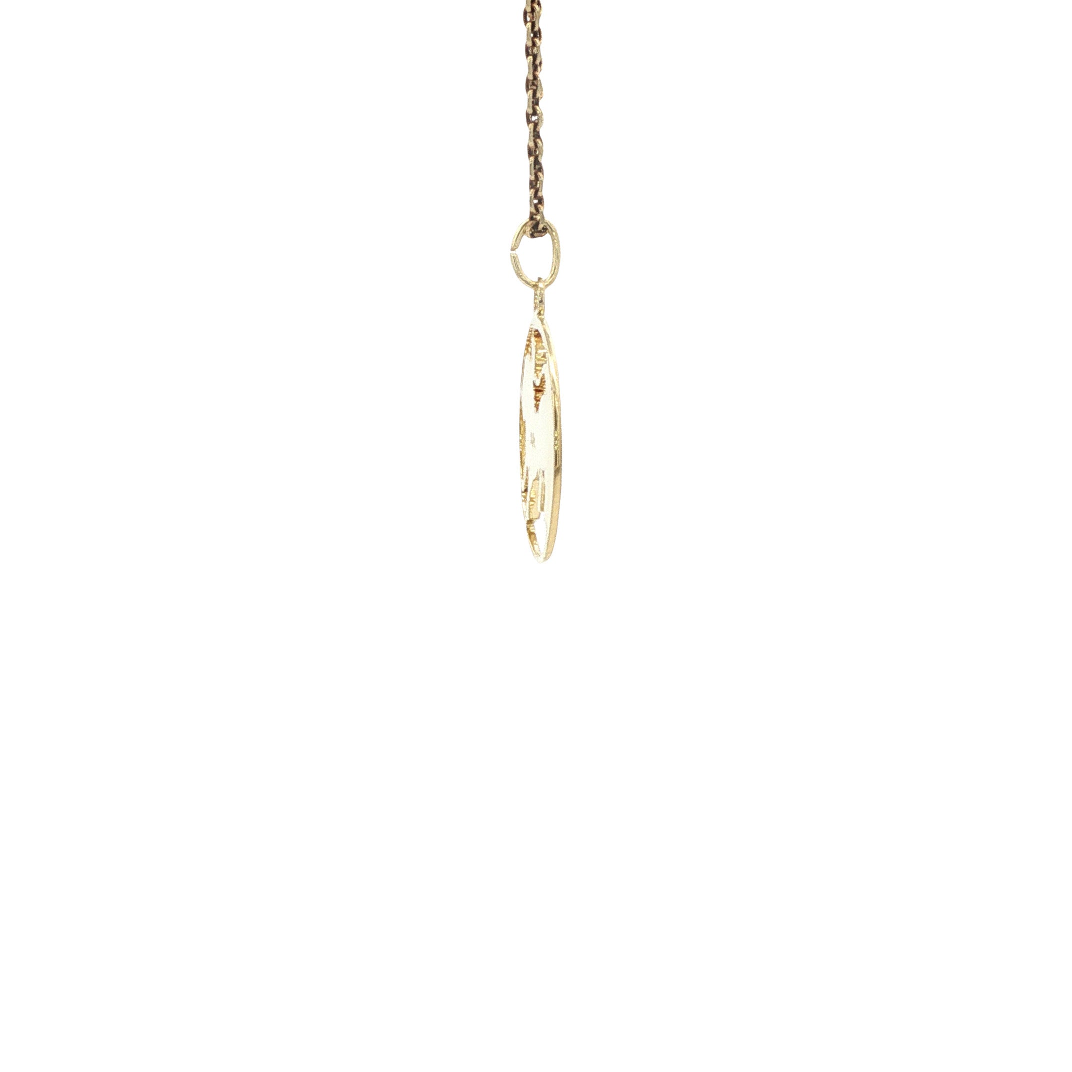 Gouden vintage sterrenbeeld leeuw hanger 14 kt