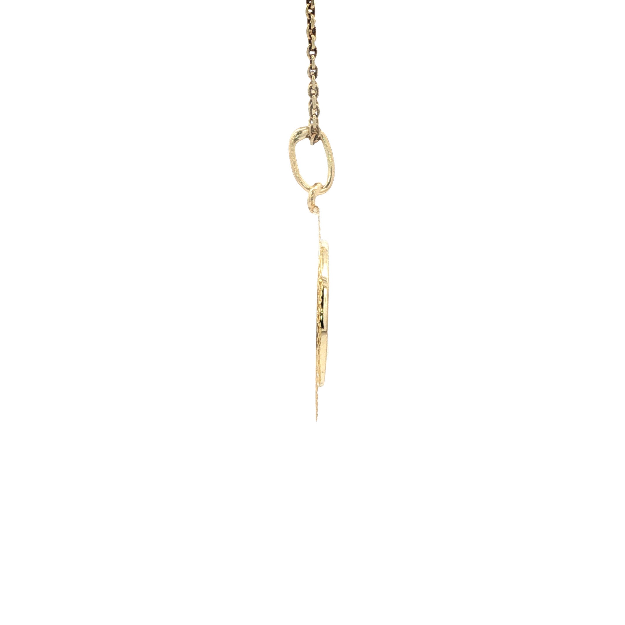 Gouden vintage sterrenbeeld vissen hanger 14 kt