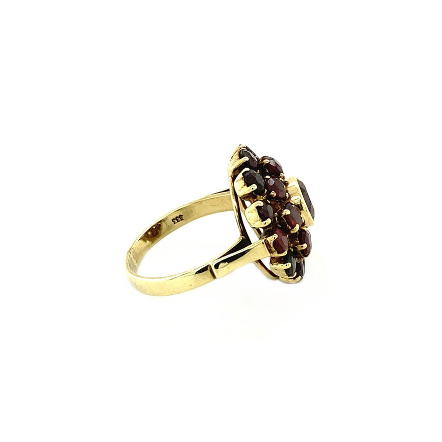 Entourage ring with garnet 9 crt