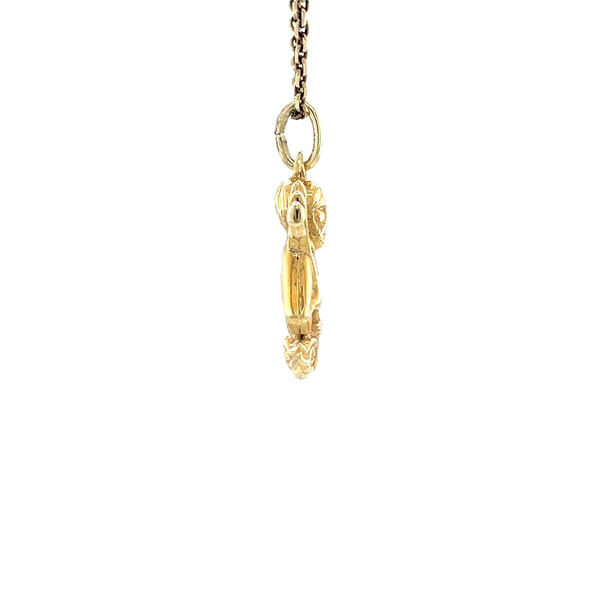 Vintage 14 kt gold Aquarius pendant