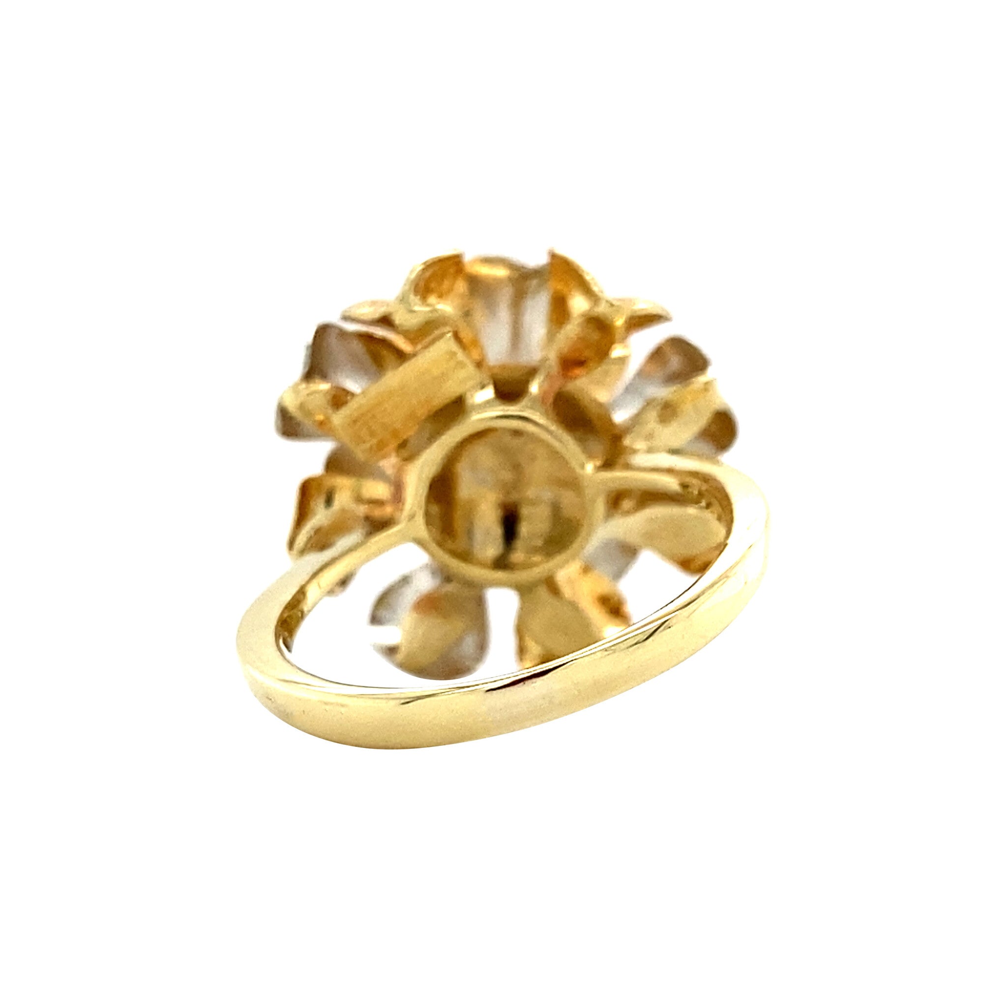 Bicolour gold ring with ruby 14 kt