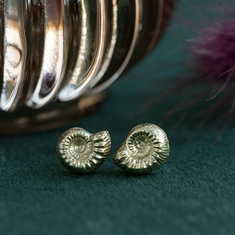 Gouden schelp oorstekers 14 krt