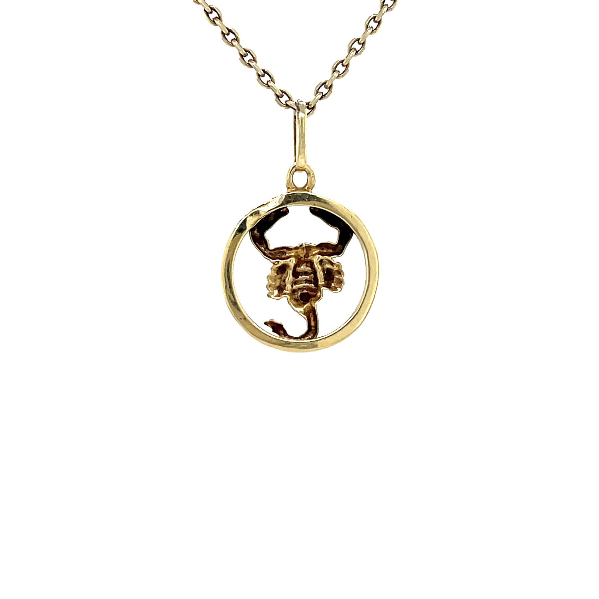 Gouden vintage schorpioen hanger 14 krt
