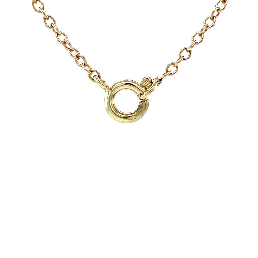 Gouden vintage anker collier met bloedkoraal 14 krt