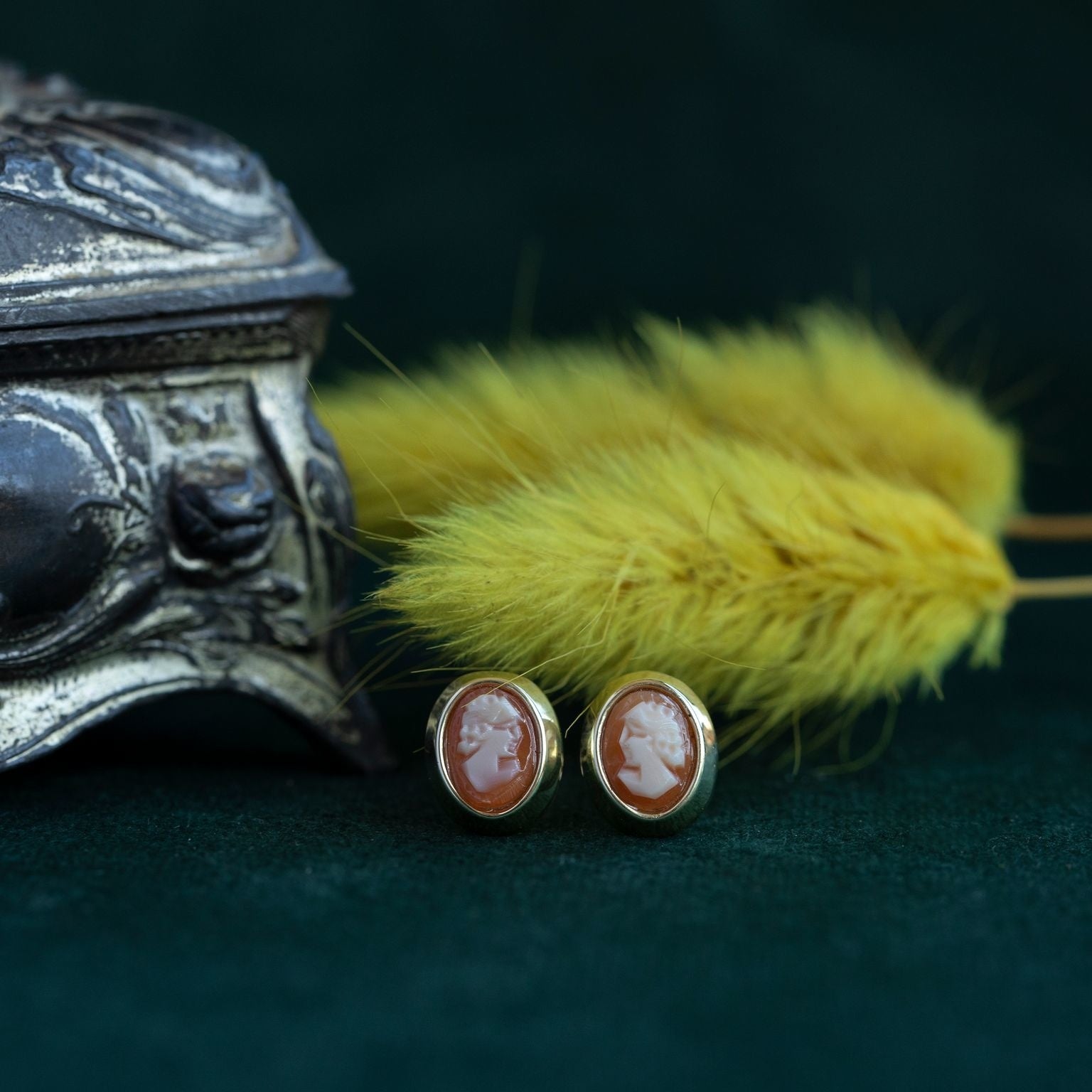 14 kt gold stud earrings with cameo