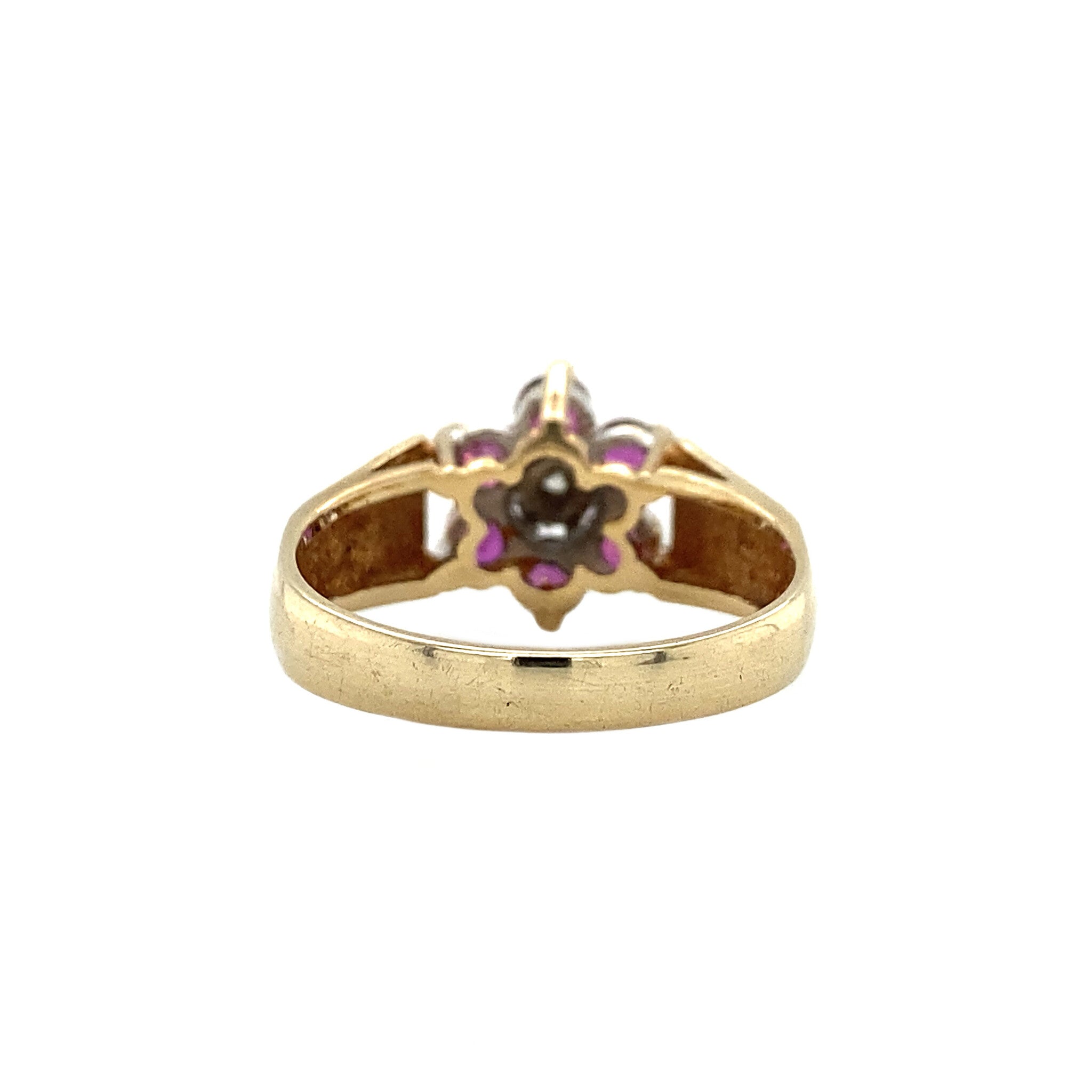 Bicolour entourage ring with diamond and ruby 9 krt