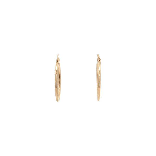 Smooth 9 kt earrings