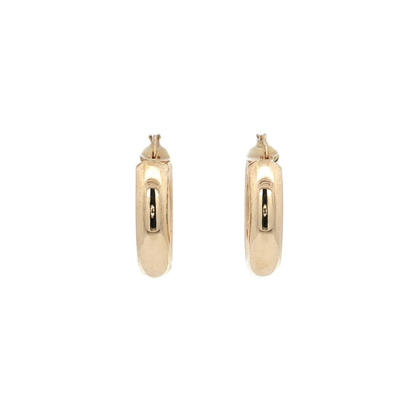 Smooth 9 kt earrings